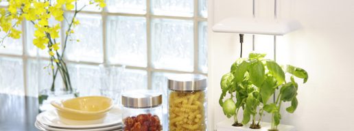 水耕栽培器Akarina15