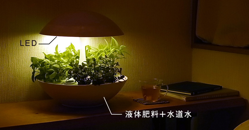 Akarina01 OMA01 | 灯菜 LED水耕栽培器 | おしゃれなインテリア照明店 MotoM モトム – MotoMオンラインストア