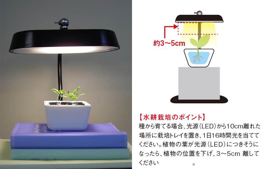 水耕栽培の方法