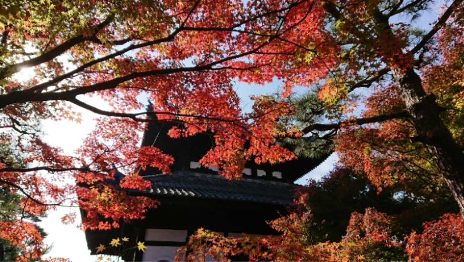 大本山 東福寺