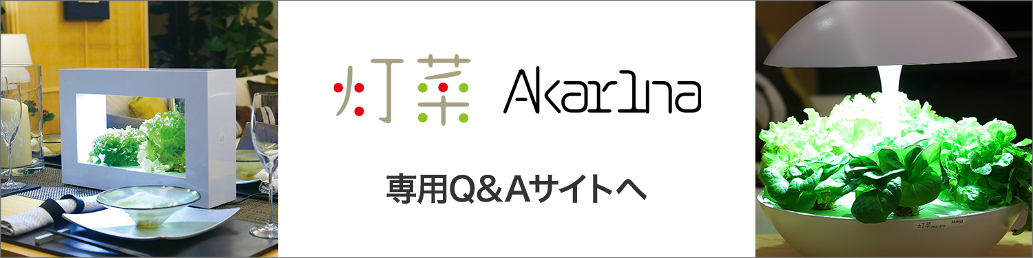 灯菜Q&A