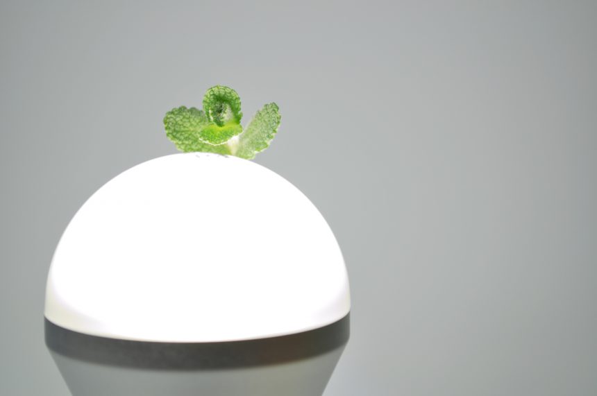 Ledで植物を栽培しよう 照明の選び方やおすすめ商品をご紹介します おしゃれ照明器具ならmotom