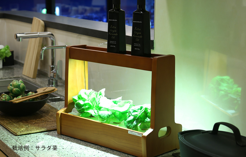 LED水耕栽培器Akarina06。お家の中でLEDを照らして簡単にサラダ菜が栽培できます。