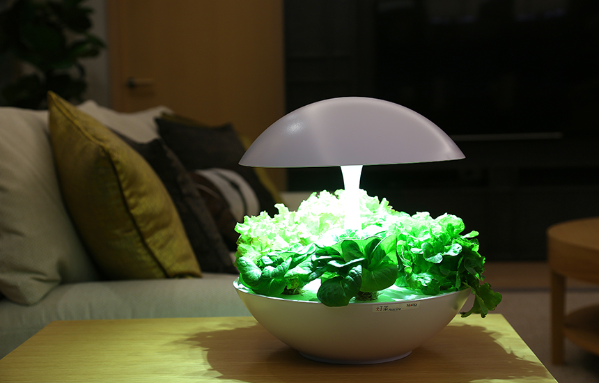 Ledで栽培する植物工場 その仕組みやメリット デメリット おしゃれ照明器具ならmotom