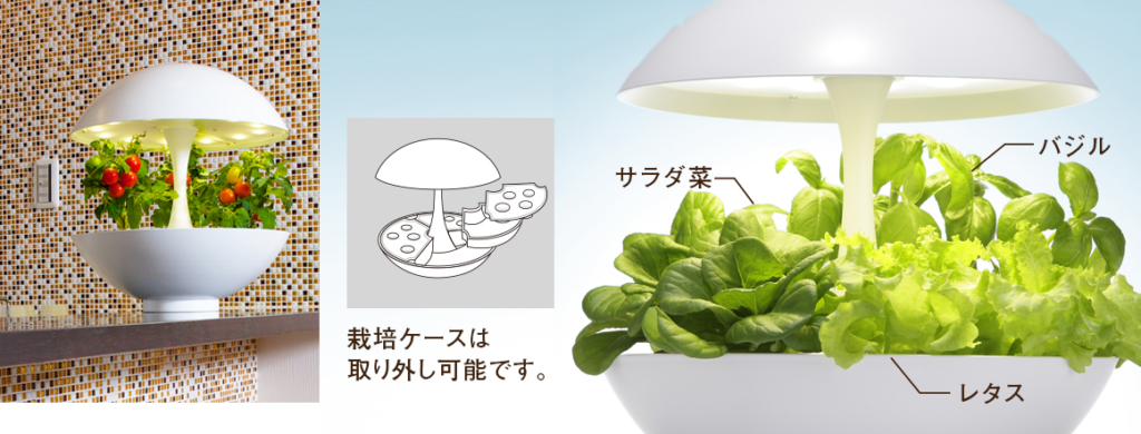 【簡単！楽しく】野菜を育てましょう　水耕栽培器「灯菜」