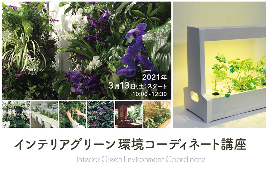 インテリアグリーン環境コーディネート講座